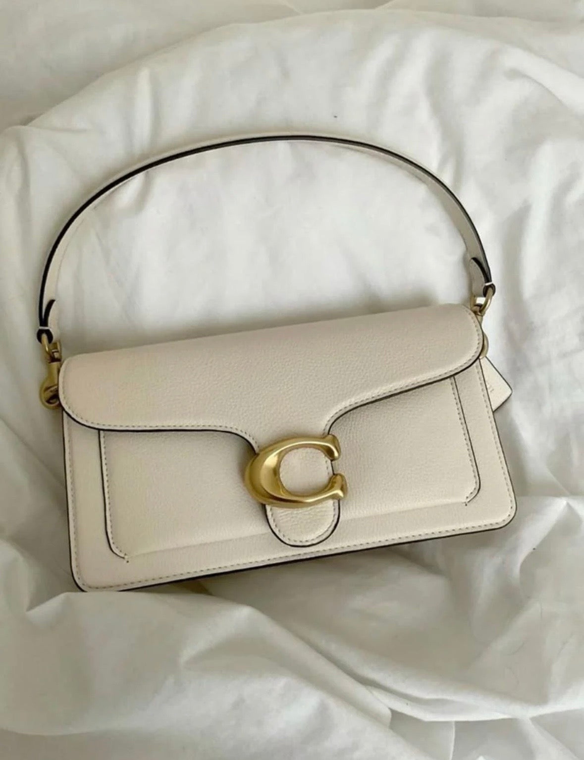 Luxury Bag 1