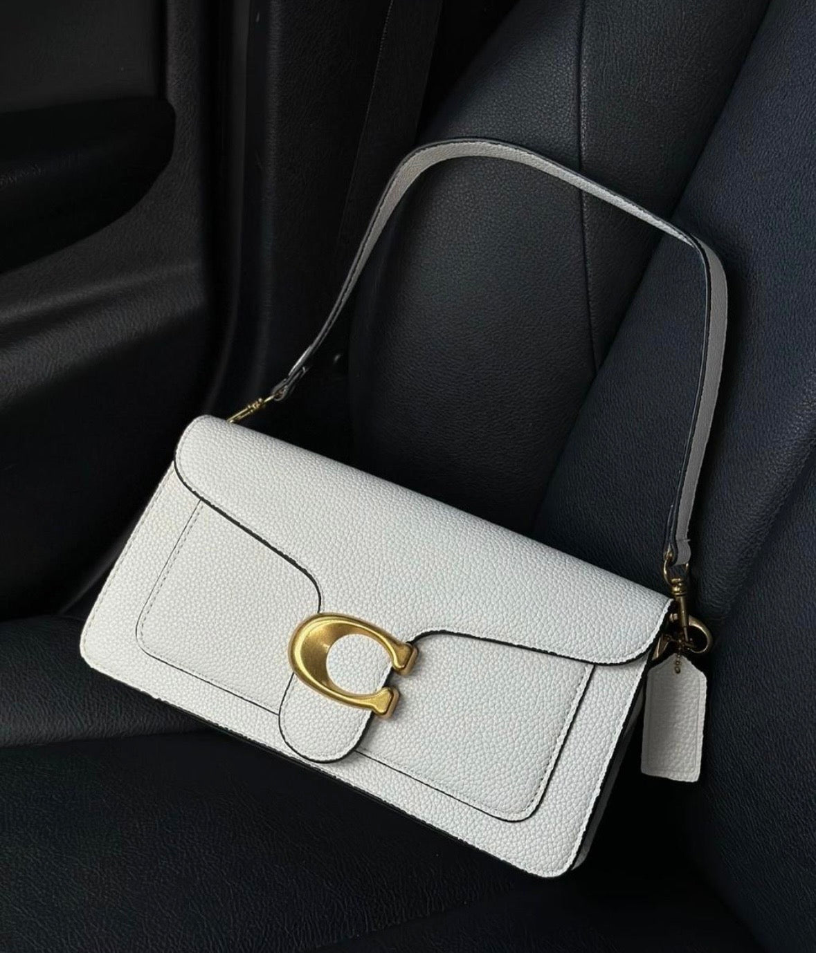 Luxury bag 3